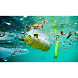 UN REPORT CRITICIZES biodegradable plastics